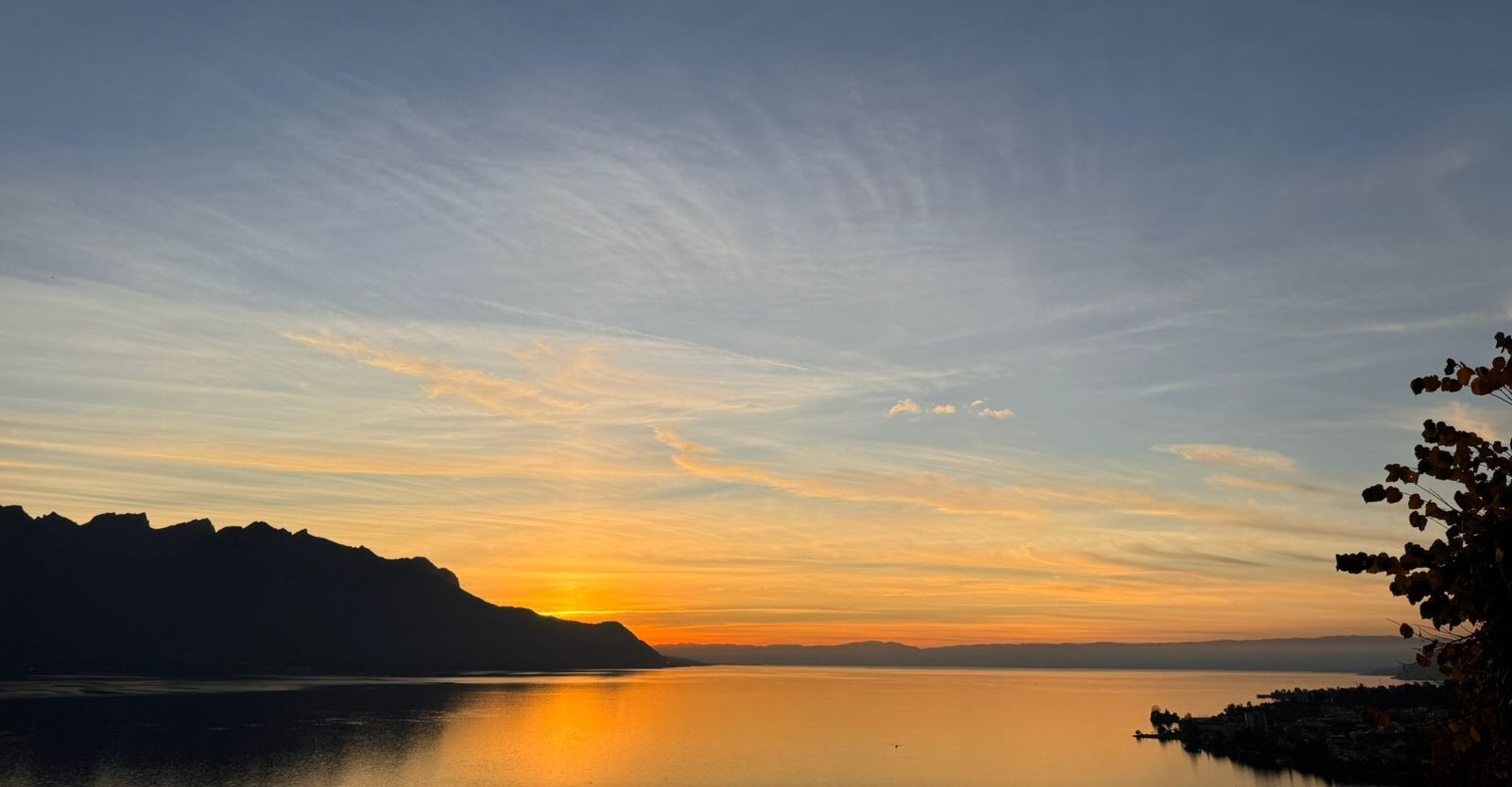 <span class="vcard">manuelburgoslagos@gmail.com</span>